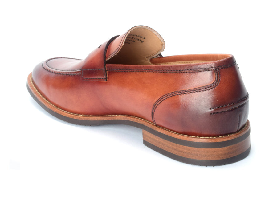 Camino - Warfield & Grand Premium