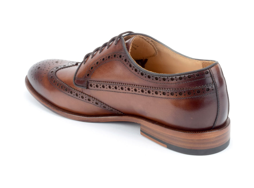Abby wingtip - Warfield & Grand Top Pick