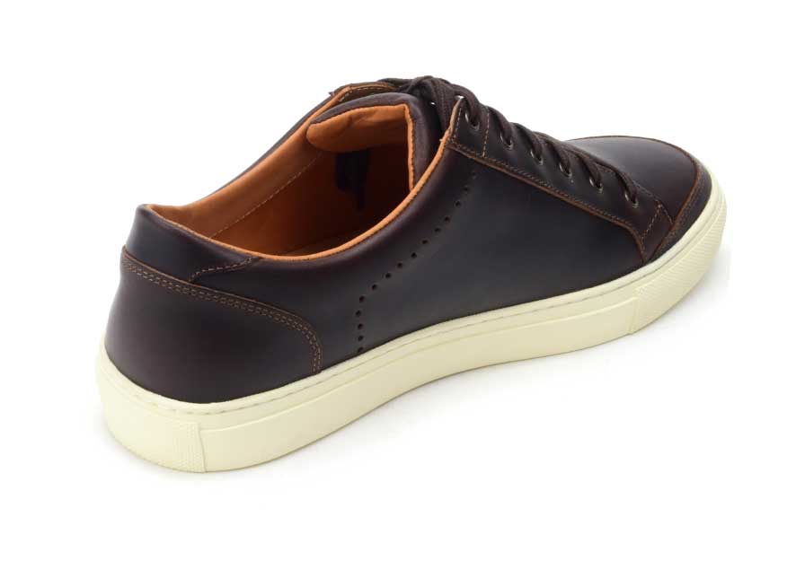 Totem Sneaker - Warfield & Grand Trending